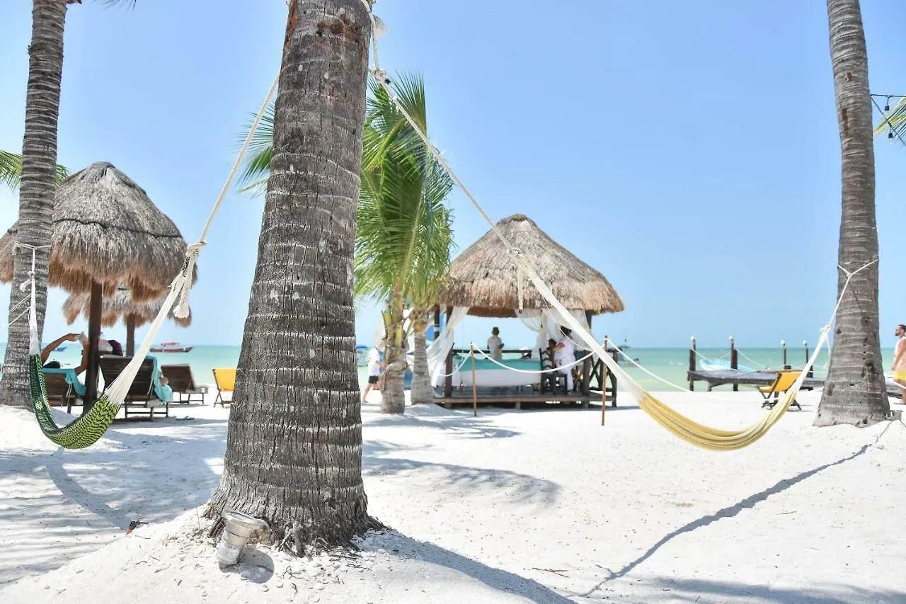 Amaite Beach Hotel Ilha Holbox 4*,  México