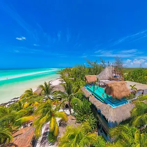 Tiburon **** Isla Holbox